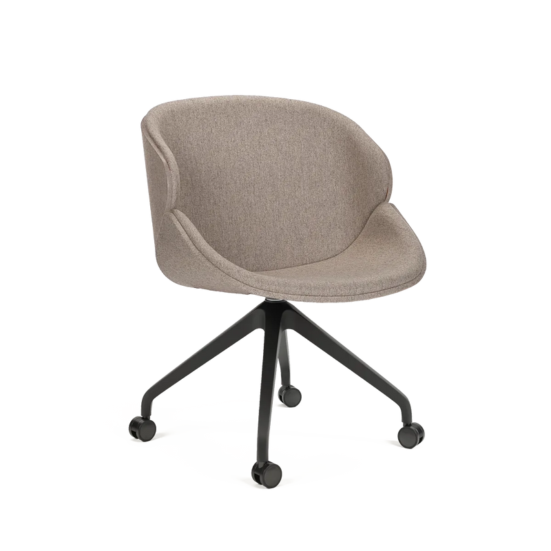 Aria Big B-5373 Base 3