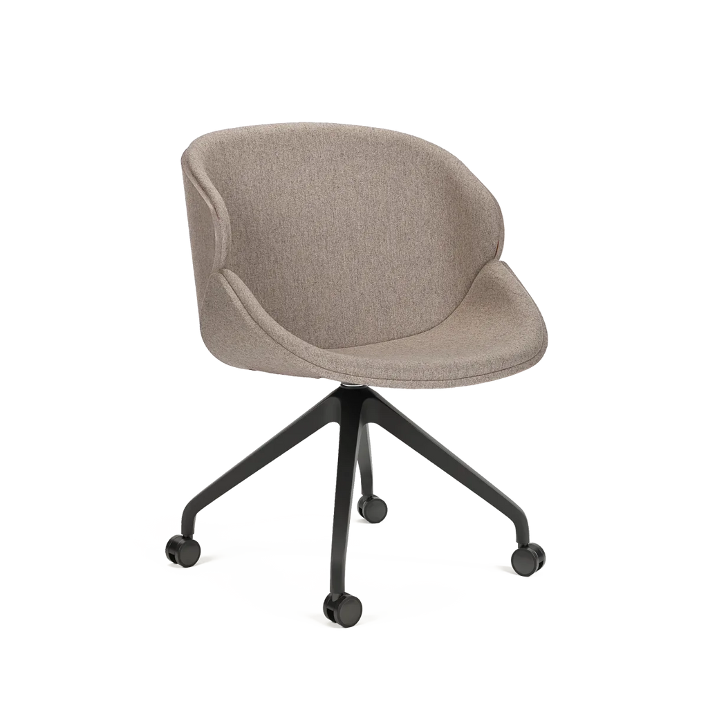 Aria Big B-5373 Base 3