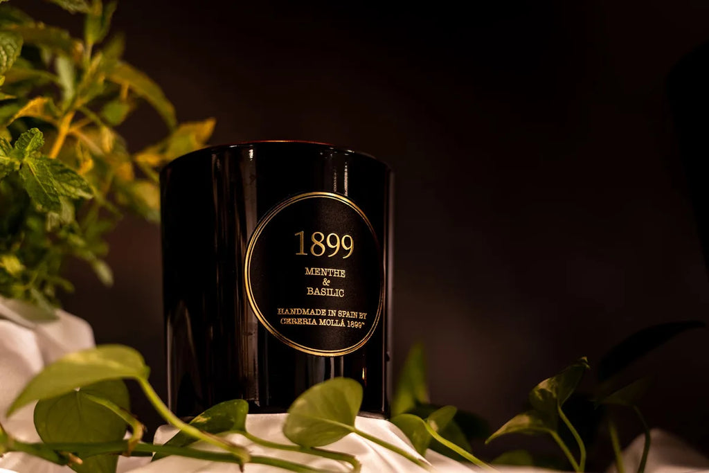CERERIA MOLLA Świeca Premium 230gr. Menthe and Basilic
