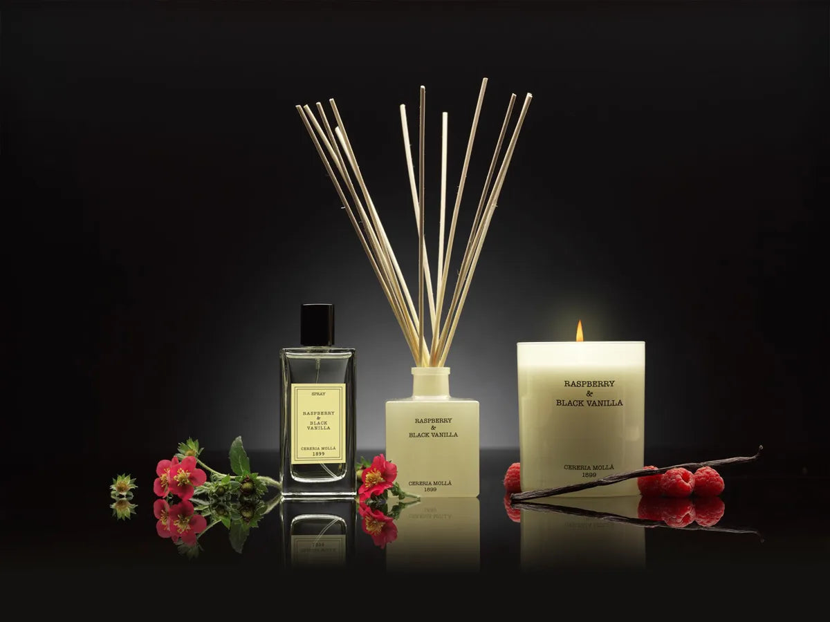 CERERIA MOLLA Dyfuzor Premium  Reed 100ml. Raspberry and Blac
