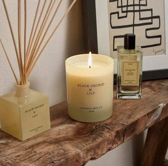 CERERIA MOLLA Dyfuzor Premium  Reed 100ml. Black Orchid and