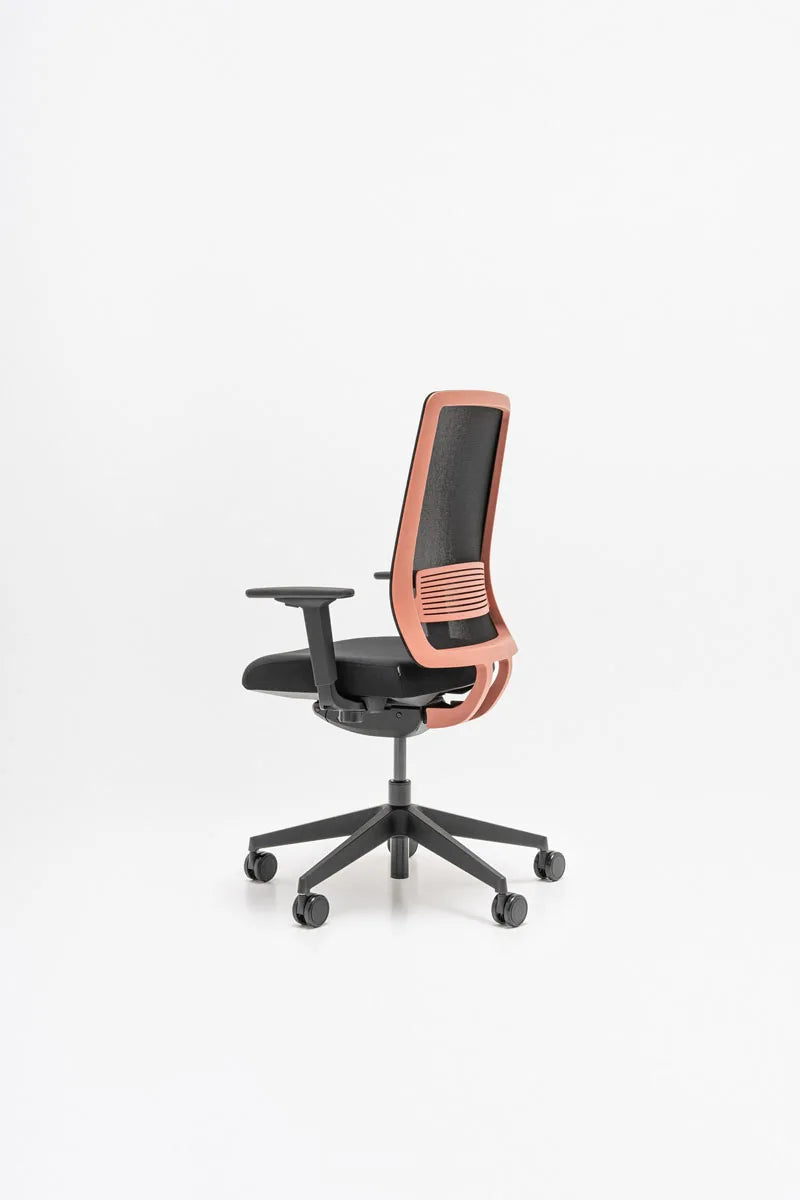 Apex APX01
