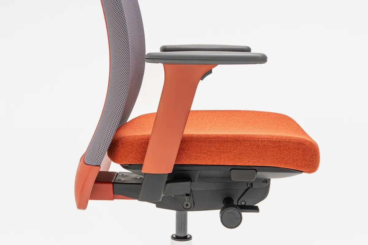 Leo LEO