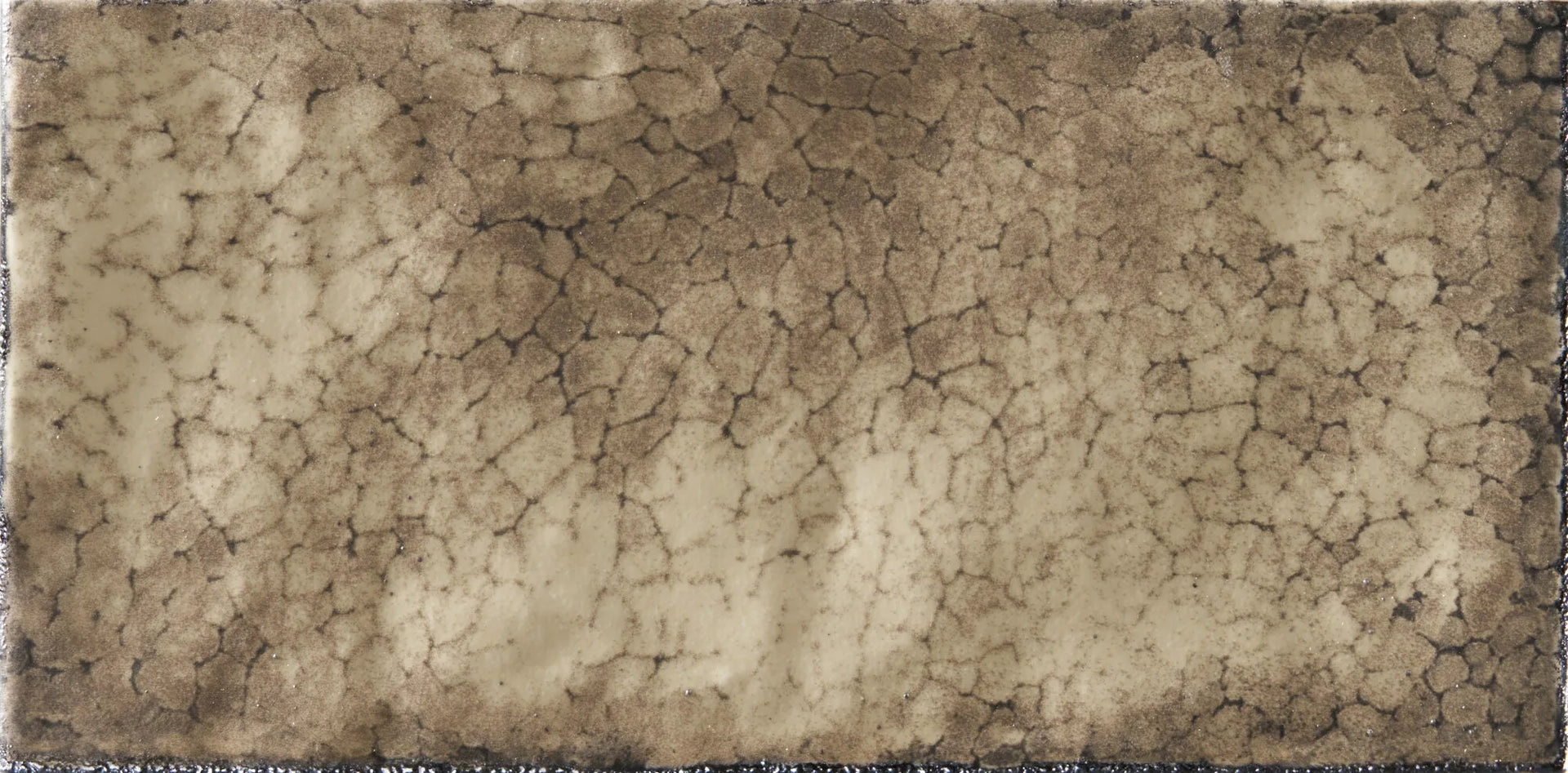 Terrae Arida 7x14 cm