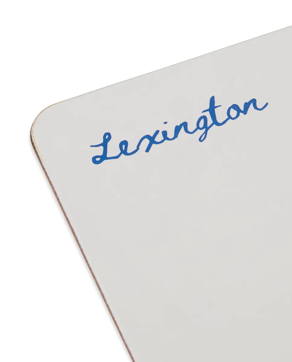 Laminated Double-Sided Placemat (set of 2)