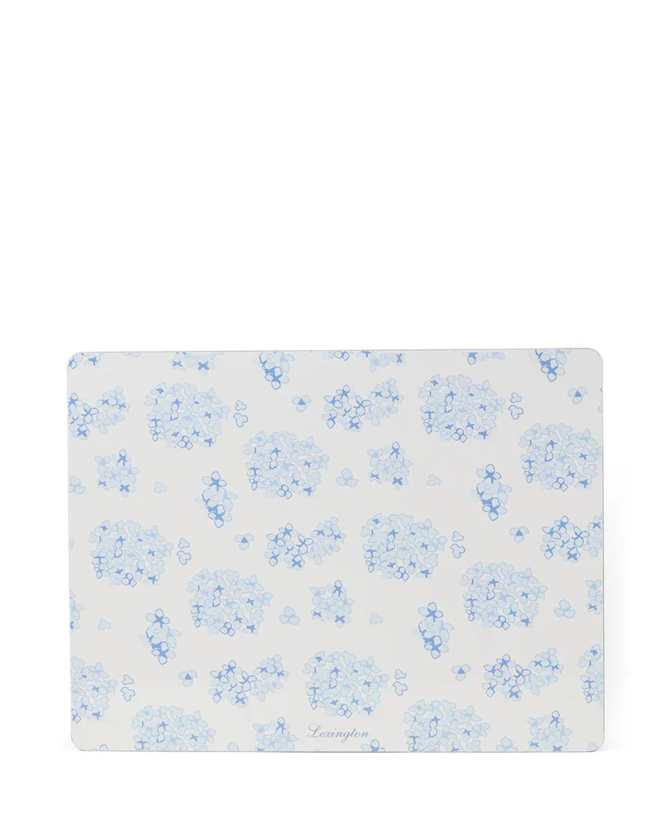 Laminated Double-Sided Placemat (set of 2)