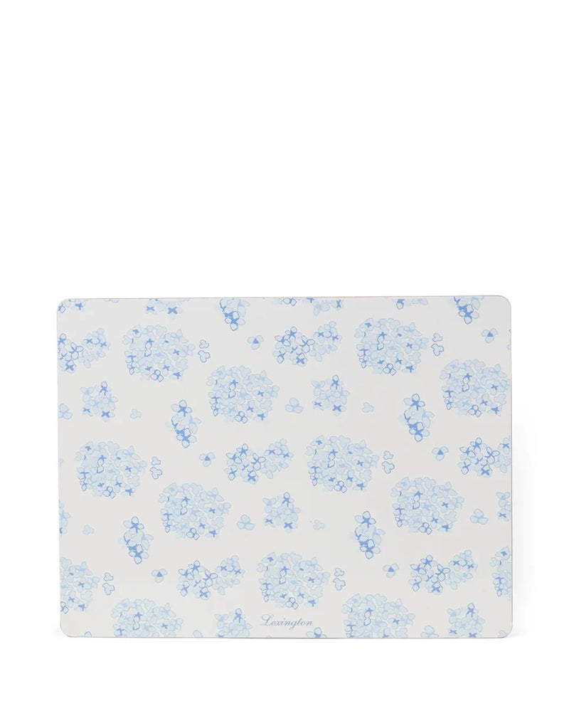 Laminated Double-Sided Placemat (set of 2)