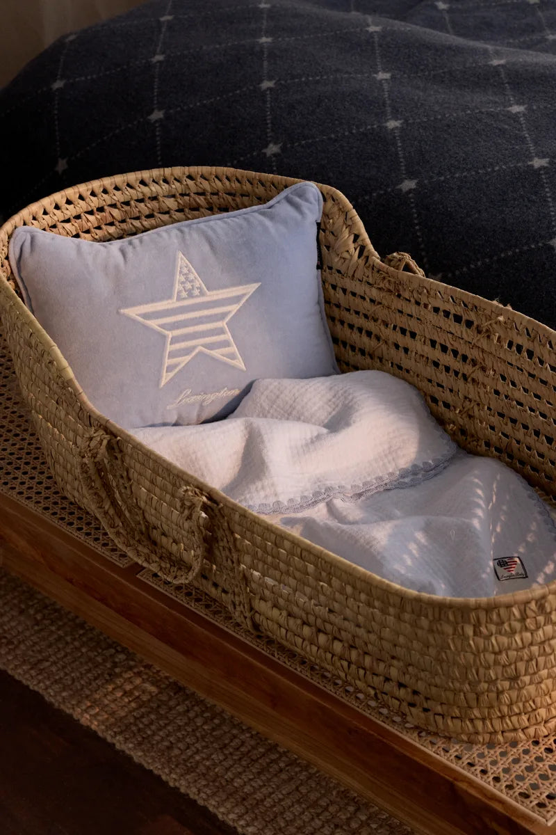 Kids Organic Cotton Velvet 30x40 Pillow